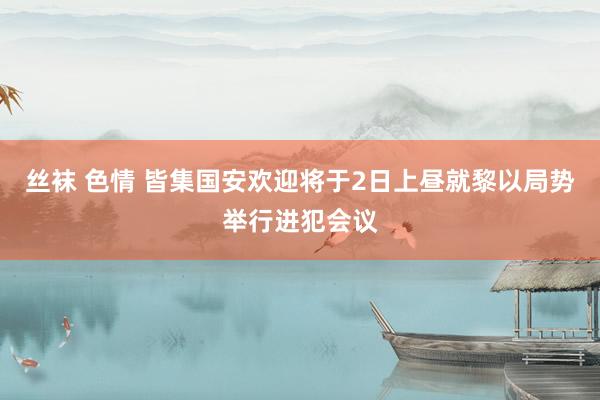 丝袜 色情 皆集国安欢迎将于2日上昼就黎以局势举行进犯会议