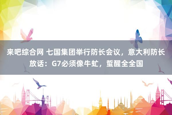 来吧综合网 七国集团举行防长会议，意大利防长放话：G7必须像牛虻，蜇醒全全国
