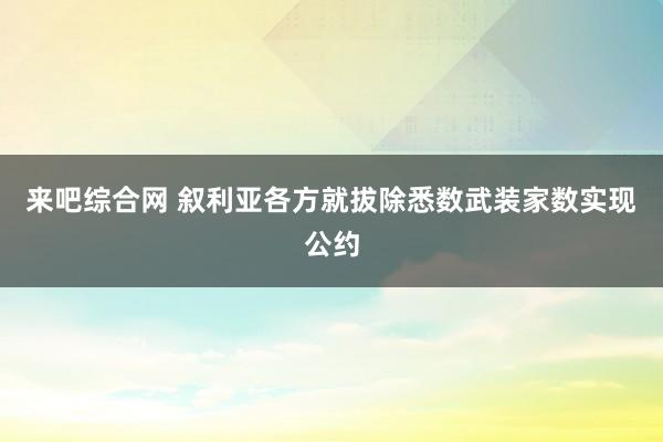来吧综合网 叙利亚各方就拔除悉数武装家数实现公约