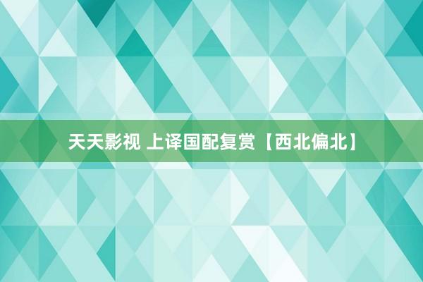 天天影视 上译国配复赏【西北偏北】