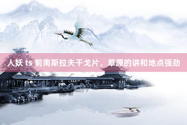 人妖 ts 前南斯拉夫干戈片，草原的讲和地点强劲