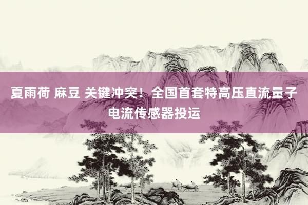 夏雨荷 麻豆 关键冲突！全国首套特高压直流量子电流传感器投运