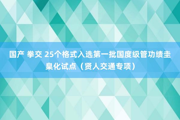 国产 拳交 25个格式入选第一批国度级管功绩圭臬化试点（贤人交通专项）