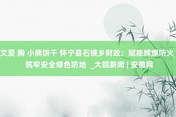 文爱 胸 小熊饼干 怀宁县石镜乡财政：赋能辉煌防火  筑牢安全绿色防地  _大皖新闻 | 安徽网