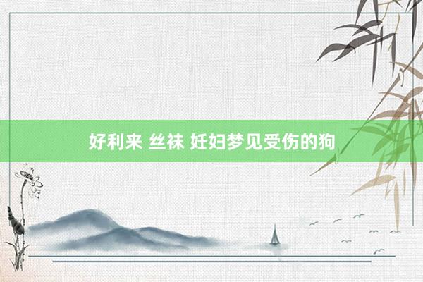 好利来 丝袜 妊妇梦见受伤的狗