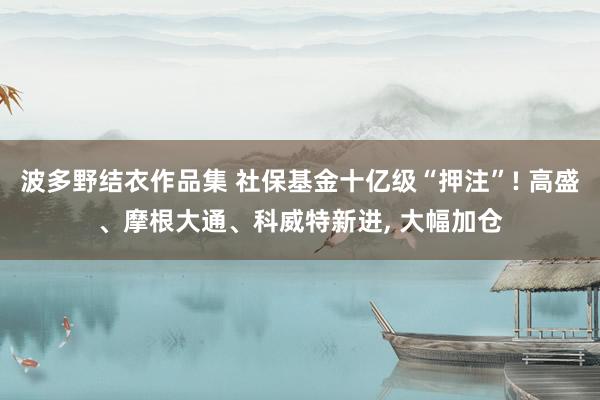 波多野结衣作品集 社保基金十亿级“押注”! 高盛、摩根大通、科威特新进， 大幅加仓