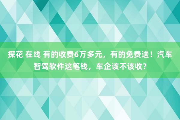 探花 在线 有的收费6万多元，有的免费送！汽车智驾软件这笔钱，车企该不该收？