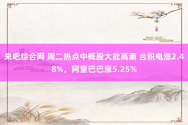 来吧综合网 周二热点中概股大批高潮 台积电涨2.48%，阿里巴巴涨5.25%