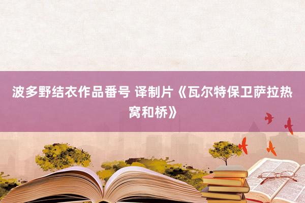 波多野结衣作品番号 译制片《瓦尔特保卫萨拉热窝和桥》